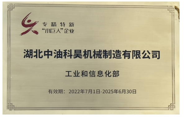 National-level “Little giant enterprise” with specialization, refinement, peculiarity and novelty