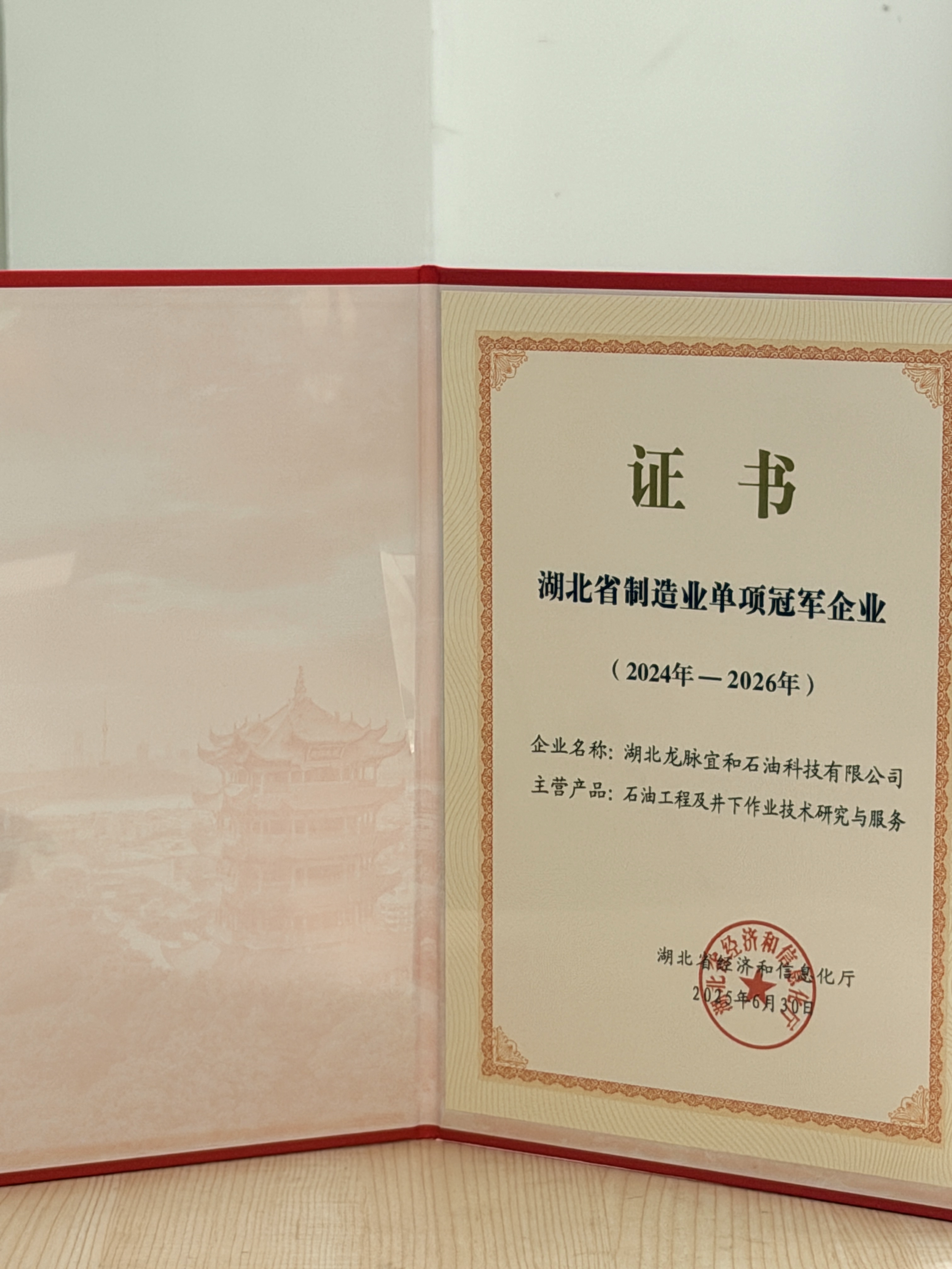 湖北省制造業(yè)單項冠軍